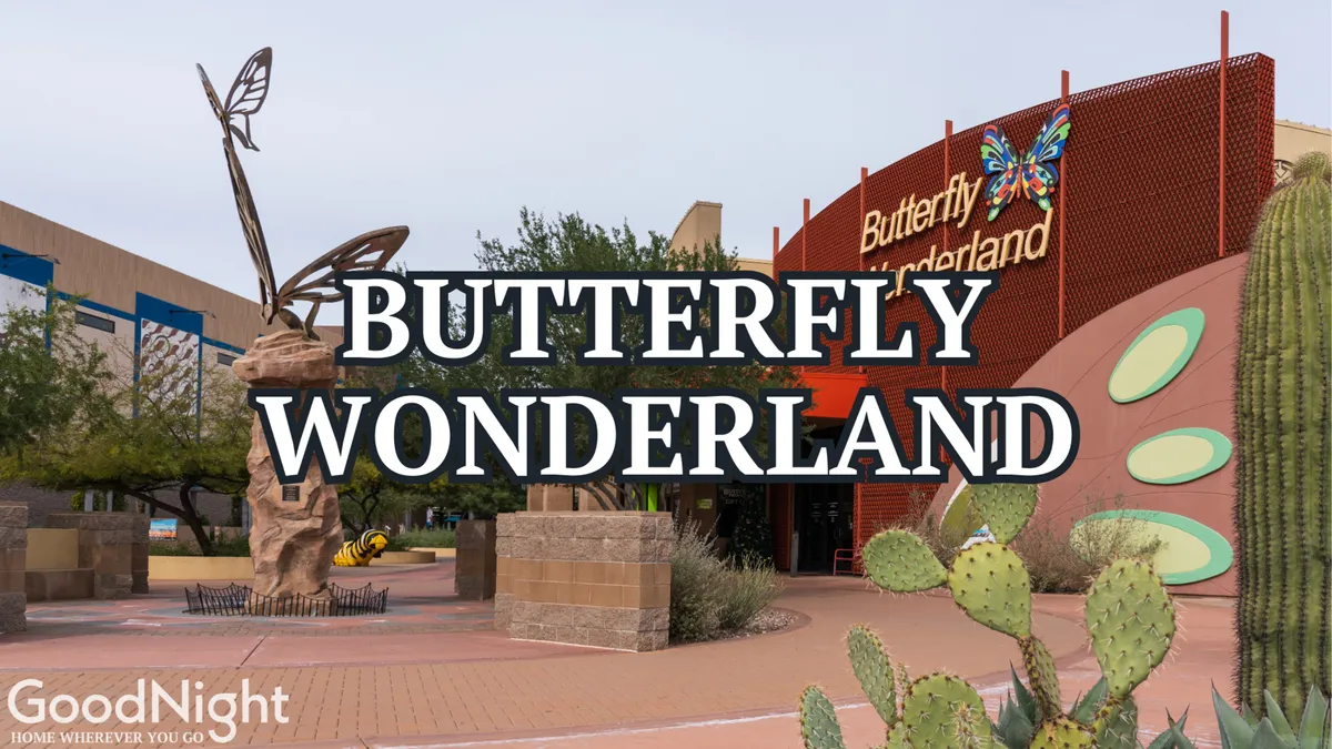 The image highlights the entrance to Butterfly Wonderland, marked by a whimsical butterfly sculpture, desert landscaping with cacti, and clear signage. The playful and educational atmosphere is apparent, appealing to families and children.