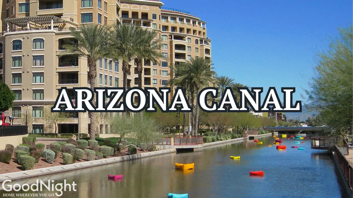 A lively view of the Arizona Canal featuring colorful boats, palm trees lining the water, and nearby residential buildings. The scene suggests outdoor recreation, walking, boating, and relaxing in a vibrant, family-friendly setting.